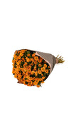 Chrysanthemen Santini Orange